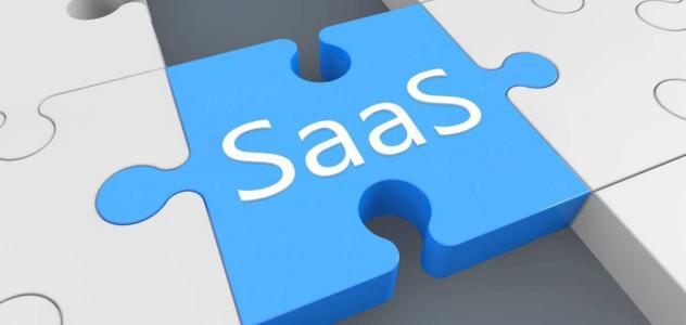 saas搭建一個網站成本